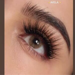 AVELA Hidrocor Eye Colored Lens